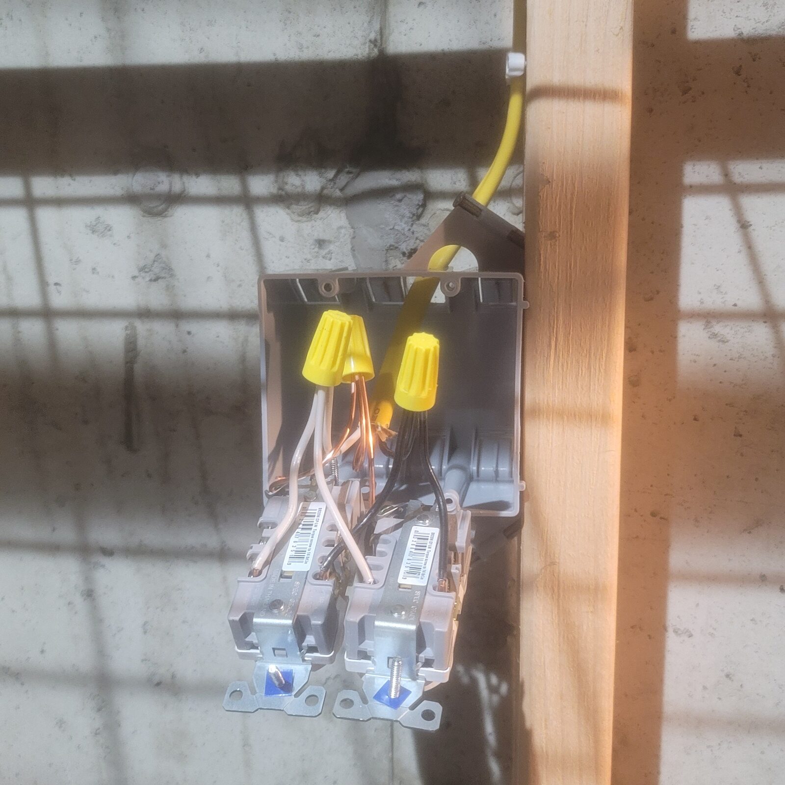 An electrical box with three wire nuts inside & two receptacles hanging below, ready to fold in
